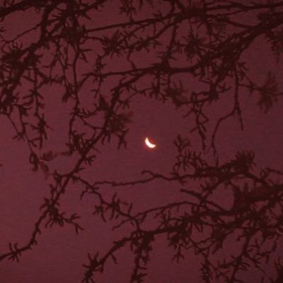 Meet your Posher, Danielle - Picture 1 of 1